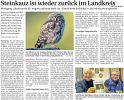WLZ: Steinkauz ist wieder zurück im Landkreis
